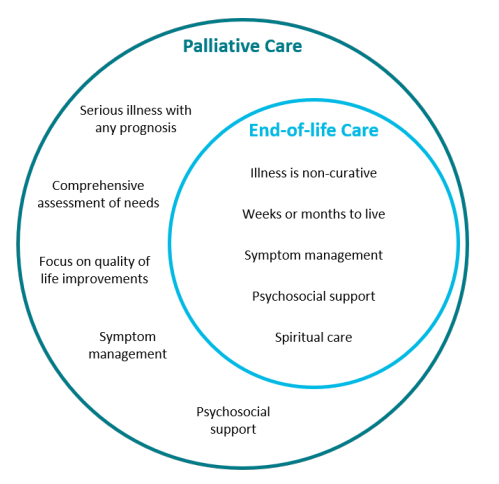 Palliative Care and End-of-life-Care